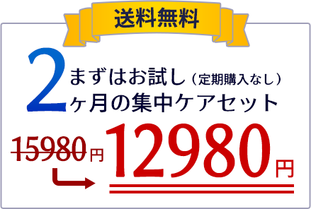 ２ヶ月集中ケアセットが、今なら１２９８０円送料無料！